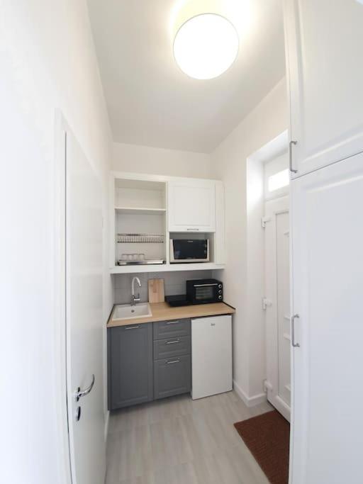 Master Apartment With Air Condition And Separated Rooftop Terrace Budapest Eksteriør bilde