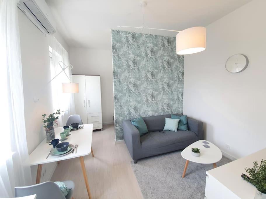 Master Apartment With Air Condition And Separated Rooftop Terrace Budapest Eksteriør bilde