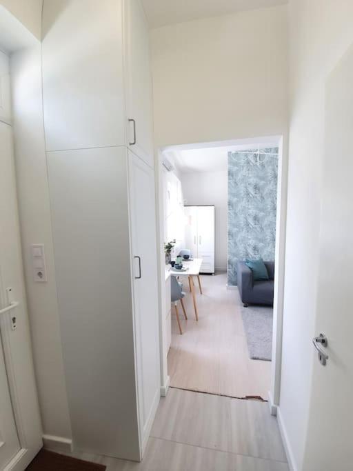 Master Apartment With Air Condition And Separated Rooftop Terrace Budapest Eksteriør bilde