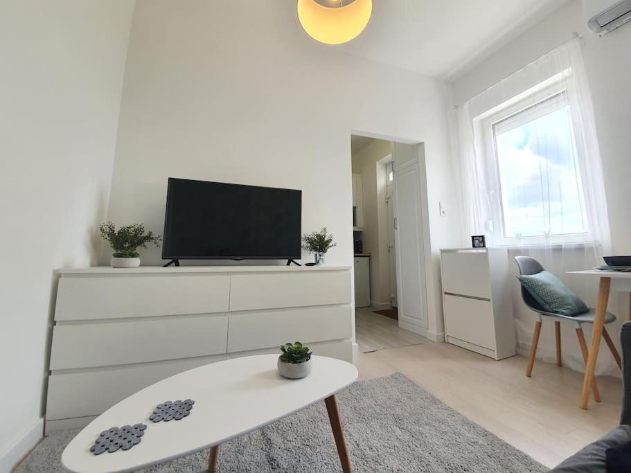 Master Apartment With Air Condition And Separated Rooftop Terrace Budapest Eksteriør bilde